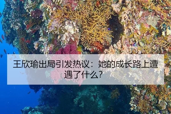 wang-xin-yu-chu-ju-yin-fa-re-yi-ta-de-cheng-zhang-lu-shang-zao-yu-le-shen-me-2-499.jpg